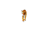 Animated Animal Free Download GIF HQ Clipart