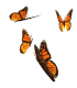 Animated Animal GIF Image High Quality Clipart