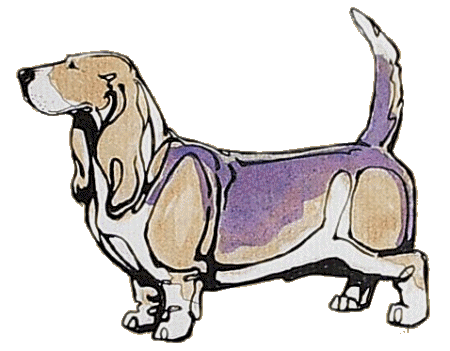 Basset Hound Download Free Image Clipart