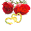 Card Free GIF HQ Clipart
