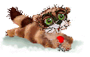 Cat Free Photo Clipart