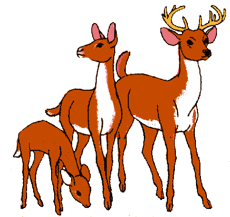 Deer Free Transparent Image HD Clipart
