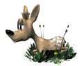 Deer Download Free Image Clipart