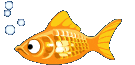 Fish Free GIF HQ Clipart