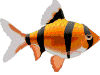 Fish GIF Image High Quality Clipart