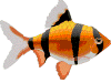 Fish GIF Image High Quality Clipart