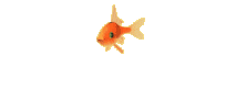Fish HD Image Free Clipart