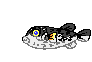 Fish Download HD Clipart