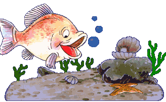 Fish Download Free Image Clipart