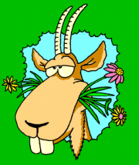 Goat Free Download GIF HQ Clipart