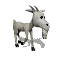 Goat Free Clipart HD Clipart