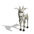 Goat GIF Free Photo Clipart