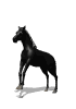 Horse Free Download Image Clipart