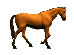 Horse GIF Image High Quality Clipart