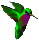 Hummingbird Free GIF HQ Clipart