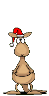 Kangaroo Free HD Image Clipart