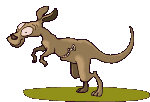 Kangaroo GIF Free Photo Clipart