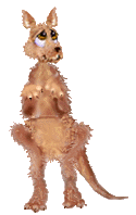 Kangaroo HD Image Free Clipart
