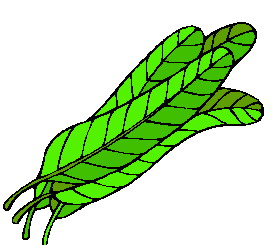 Leaf Free Download GIF HD Clipart
