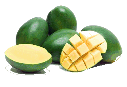 Mango Download Free Image Clipart