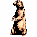 Meerkat Free HD Image Clipart