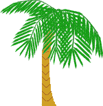 Tree Palm Free Download Image Clipart
