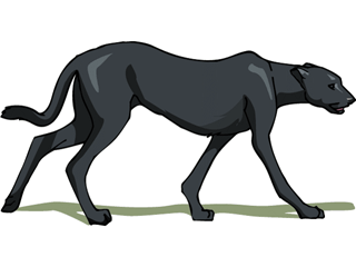 Panther GIF File HD Clipart