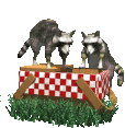 Picnic HQ Image Free Clipart