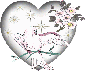 Pigeon HQ Image Free Clipart