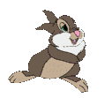 Rabbit Download Free Image Clipart