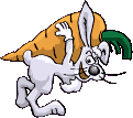 Rabbit GIF File HD Clipart