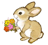 Rabbit Download HD Clipart