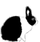 Rabbit GIF File HD Clipart