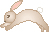 Rabbit GIF Image High Quality Clipart
