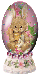 Rabbit GIF Image High Quality Clipart