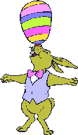 Rabbit GIF Free Photo Clipart