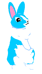 Rabbit GIF Image High Quality Clipart