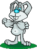 Rabbit HQ Image Free Clipart