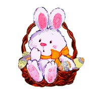 Rabbit Free HD Image Clipart