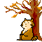 Raccoon Free Download Image Clipart