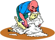 Sheep Shearing GIF File HD Clipart