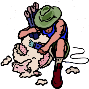 Sheep Shearing Free HD Image Clipart