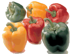 Sweet Pepper Free Download GIF HQ Clipart