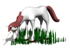 Unicorn Free GIF HQ Clipart