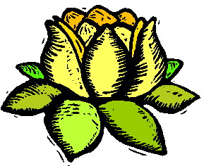 Water Lily GIF Free Photo Clipart